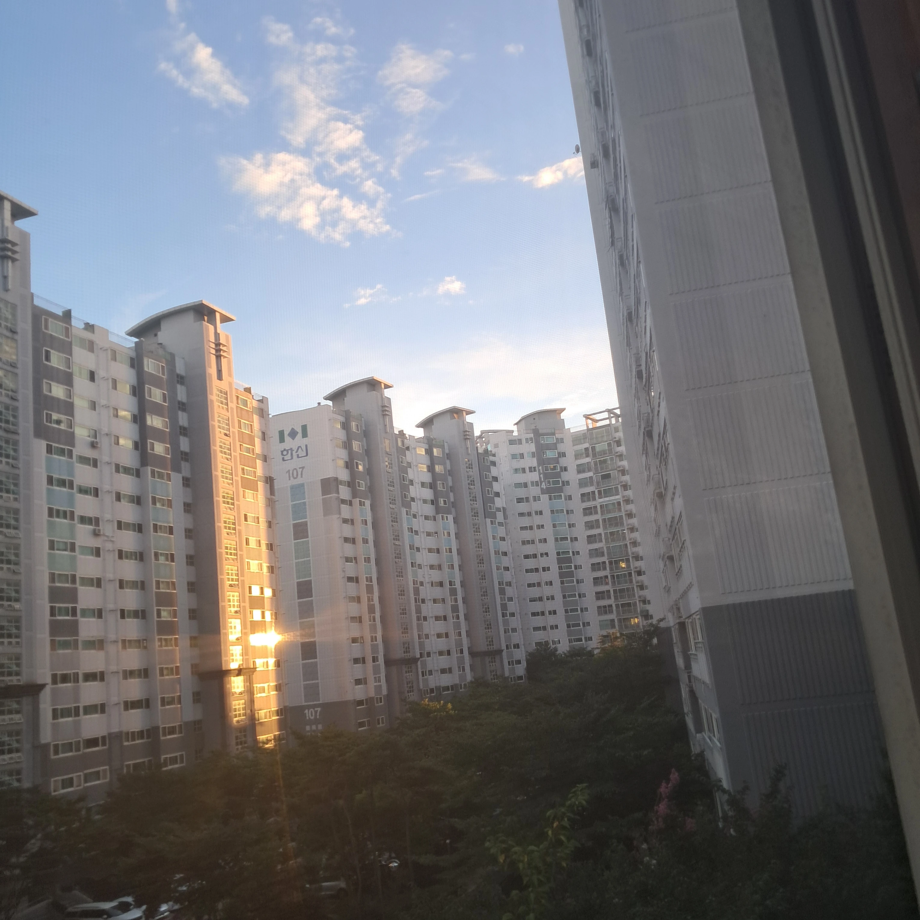 서윤재