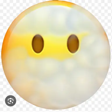 Profile image of 찌아