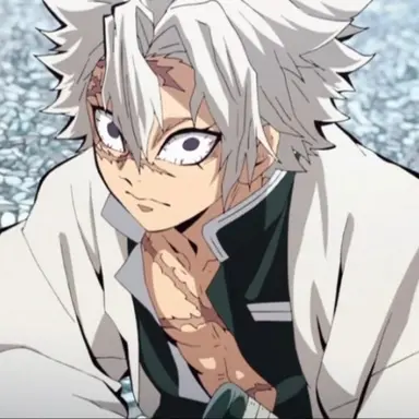 Profile image of 시나즈가와 사네미