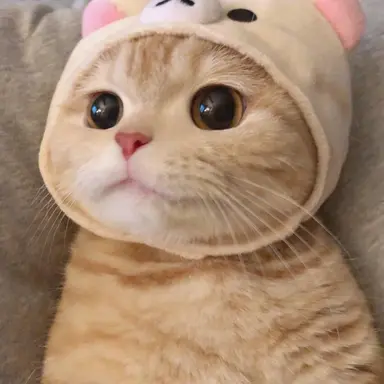 Profile image of 치즈