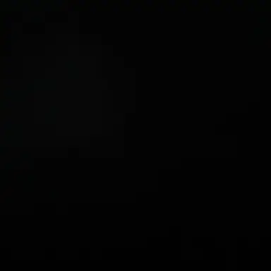 Profile image of 현이머