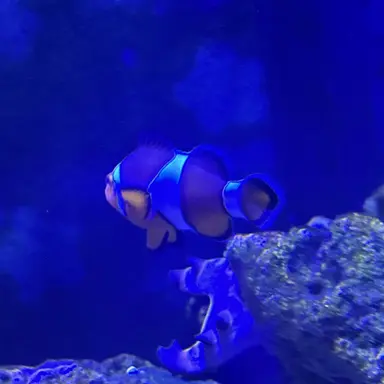 Profile image of ㅁㅈㅎ