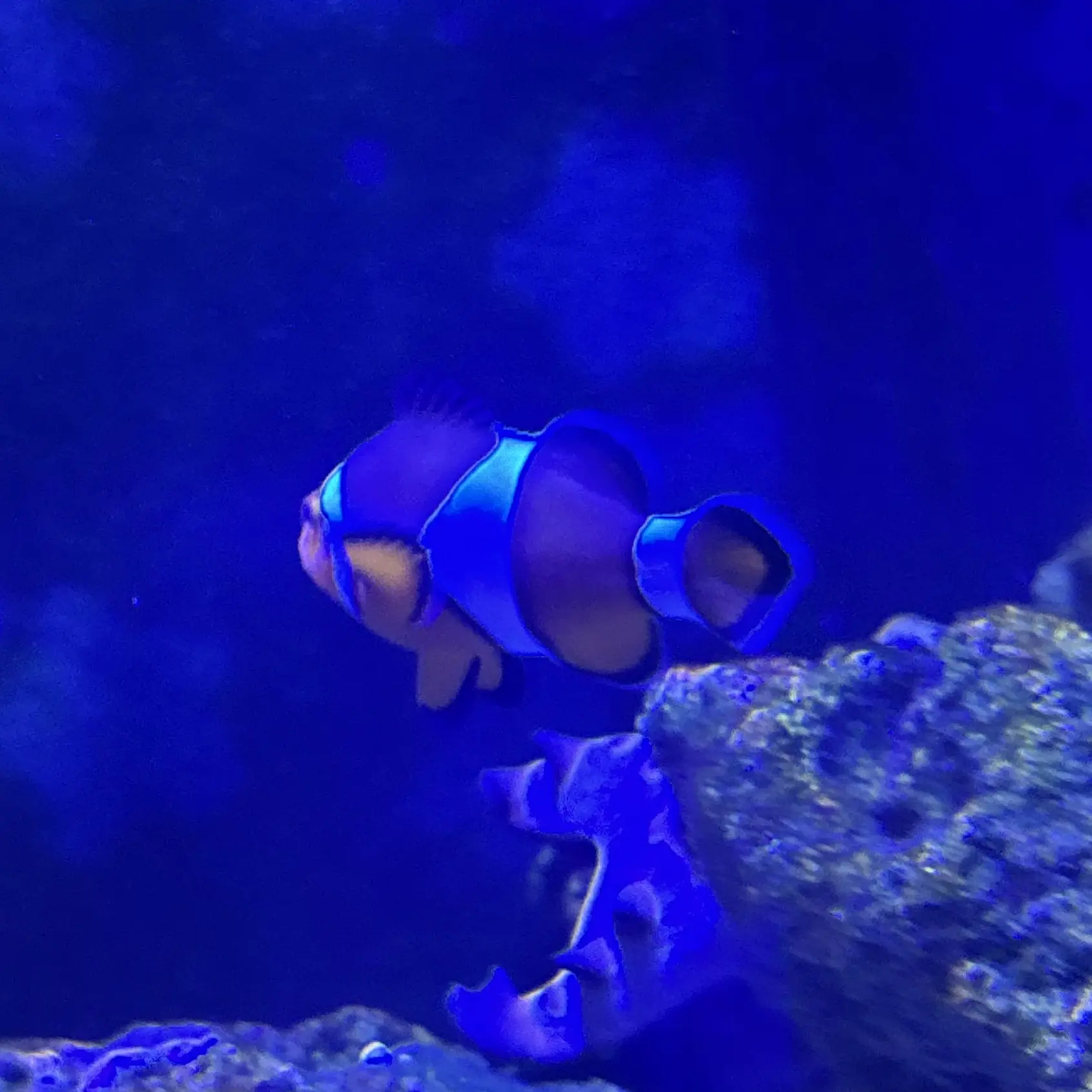 CrispRoot5779의 우리 사이가 이렇게 간단했나