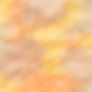 Profile image of 요우리