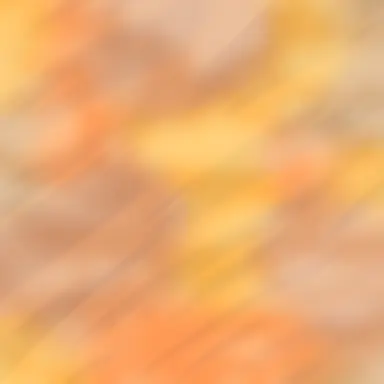 Profile image of 포이