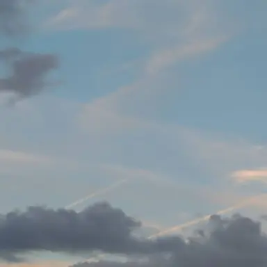 Profile image of ハク