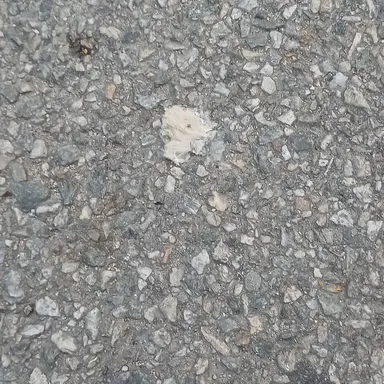 Profile image of 마법 아카데미