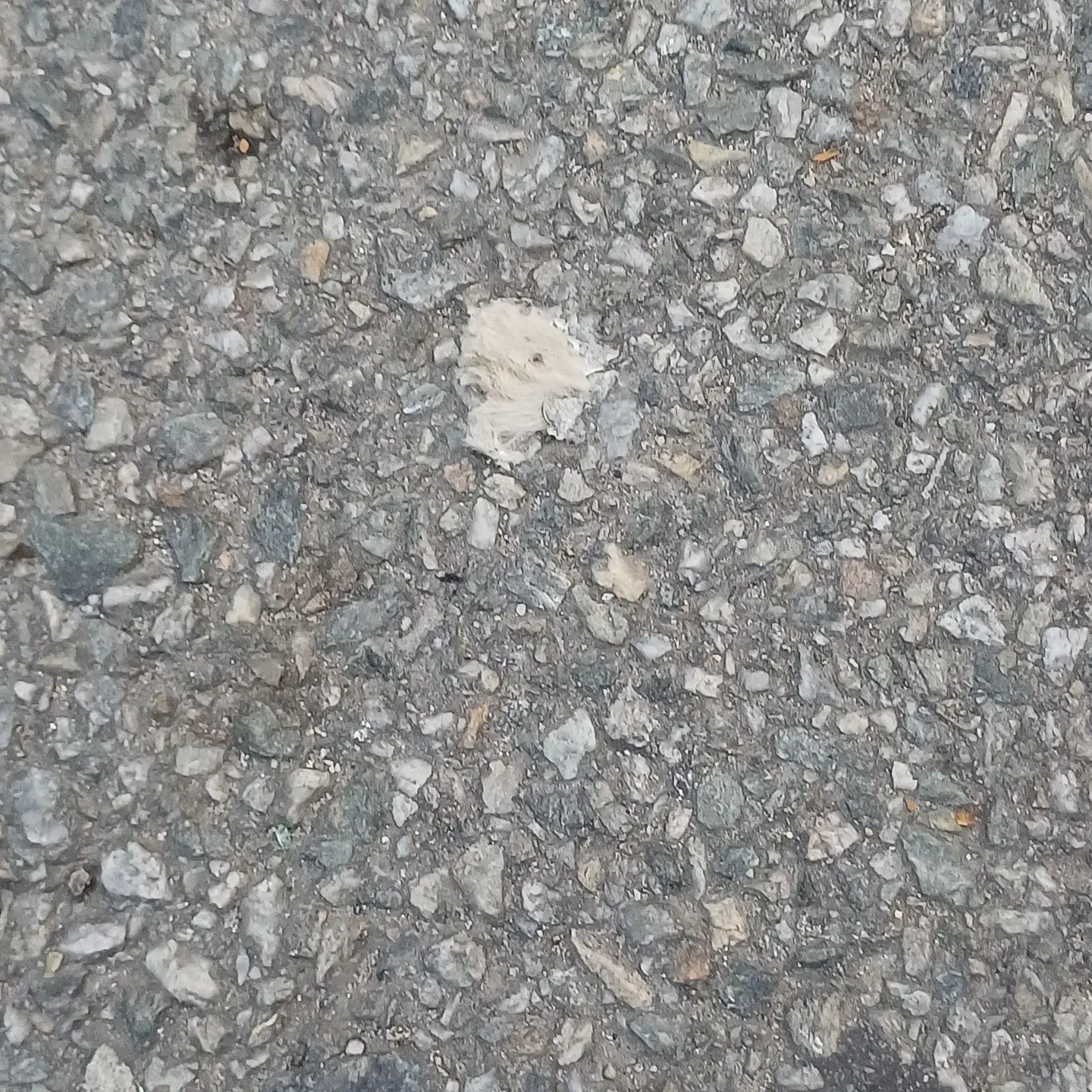 NarrowGlue5686의 마법 아카데미