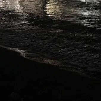 Profile image of 박잠뜰