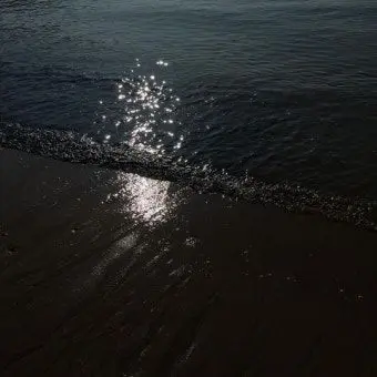 Profile image of 김일영