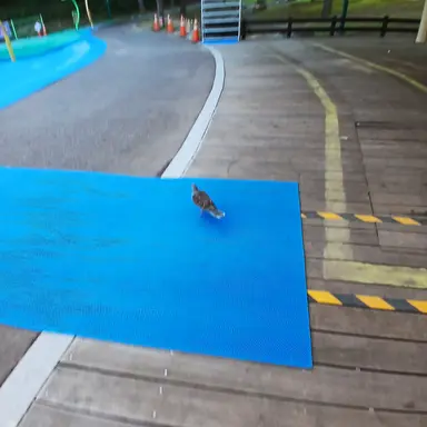 Profile image of 학생