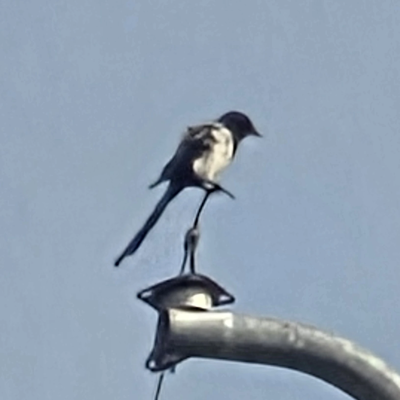 선생님