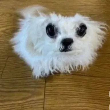 Profile image of 김지안