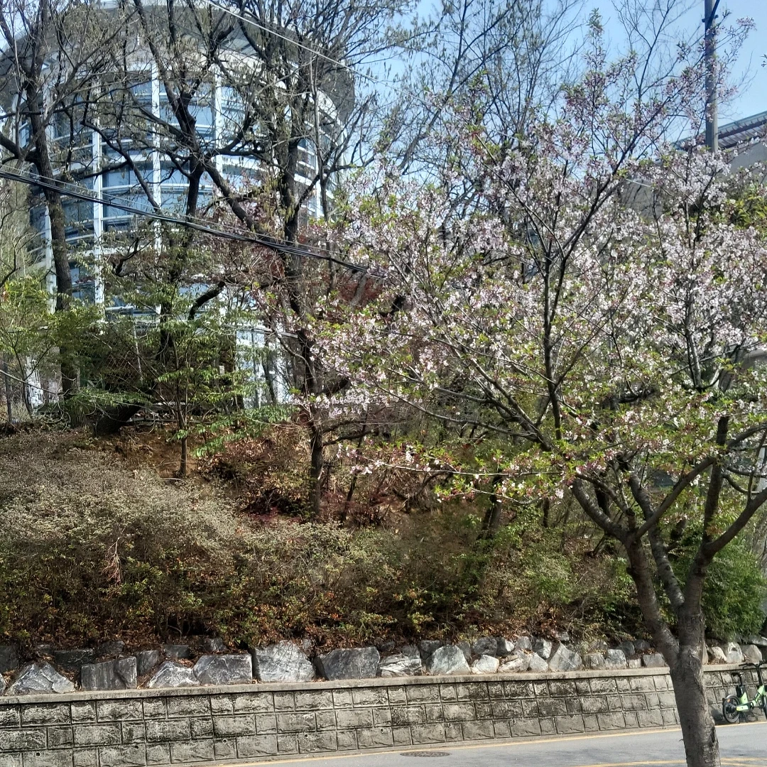 이한별