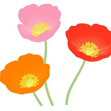 Profile image of なおきり