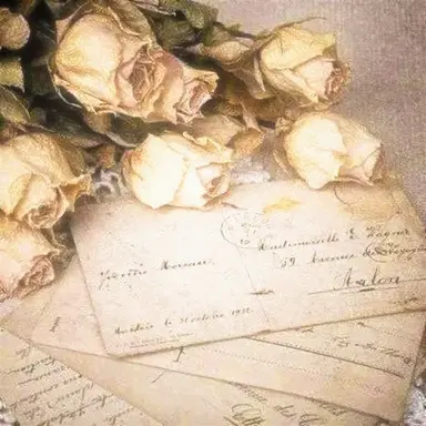 Profile image of 쪼만