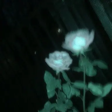 Profile image of 예엥