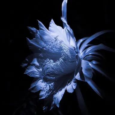 Profile image of 행크