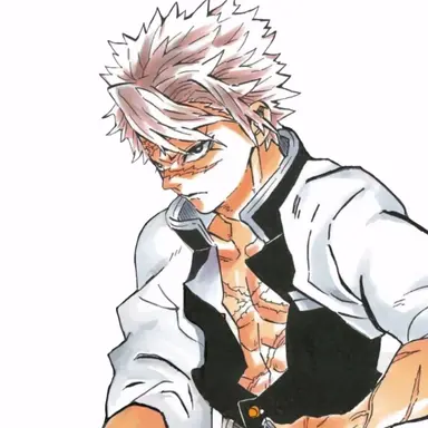 Profile image of 시나즈가와 사네미