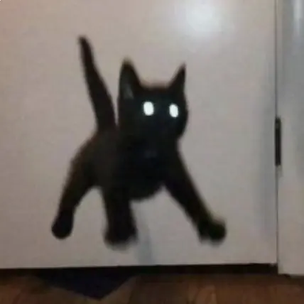 0350의 🐈‍⬛