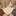白布賢二郎