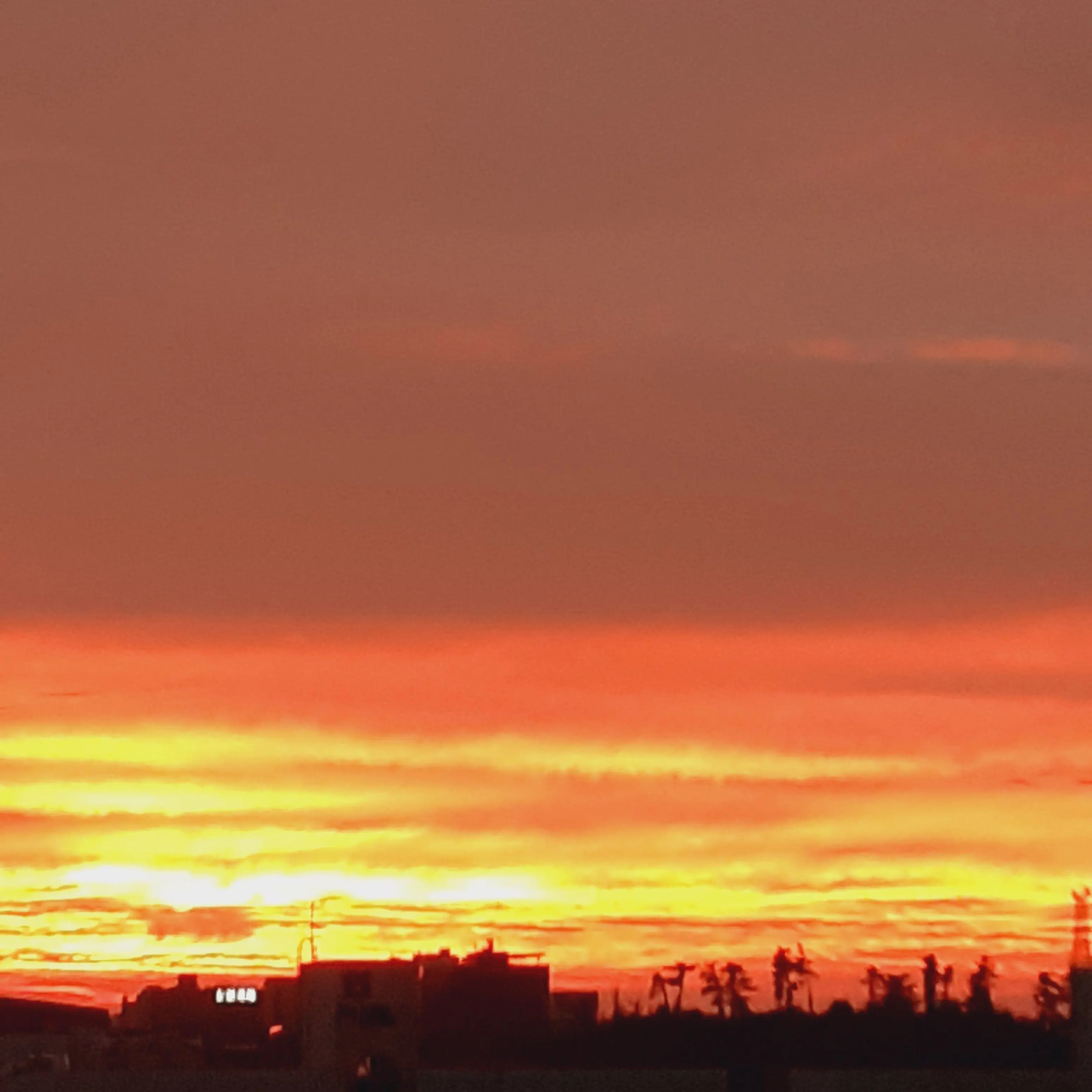 CruelJam4645의 미스터리 수사반 단체 휴가(여우)