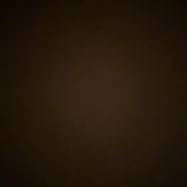 Profile image of 바람