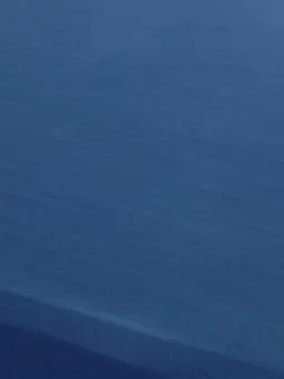 RaggedLeaf1700의 自分用です🙇