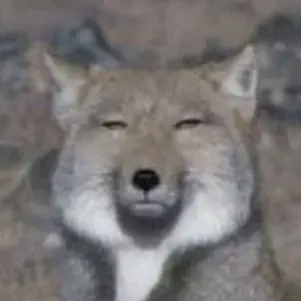 Profile image of 여우