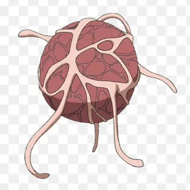 Profile image of 노커