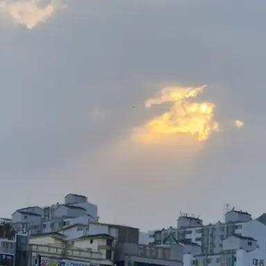 Profile image of 각별
