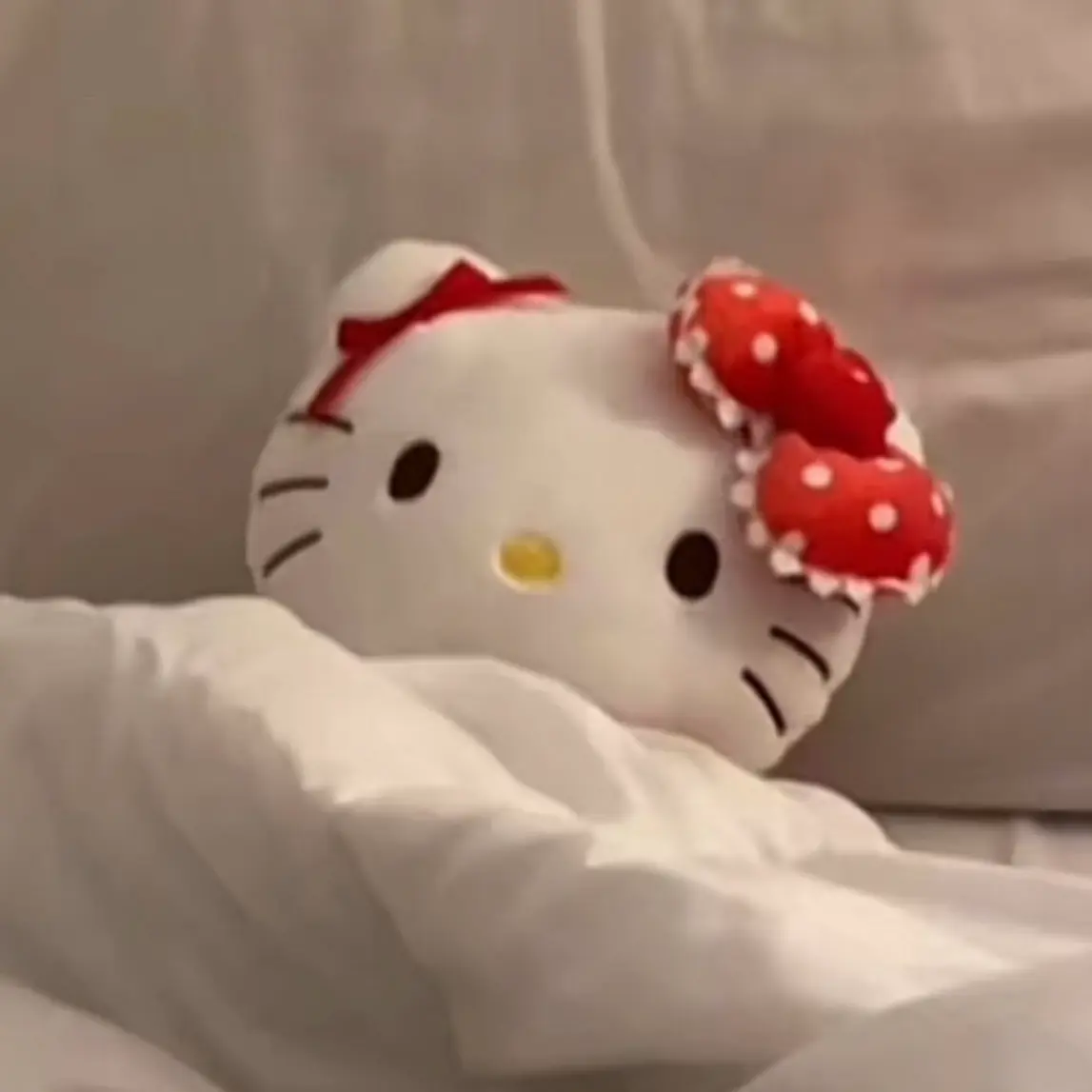 Kimmin9yu의 건수녕