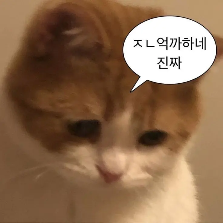 IdealMink2546의 제리
