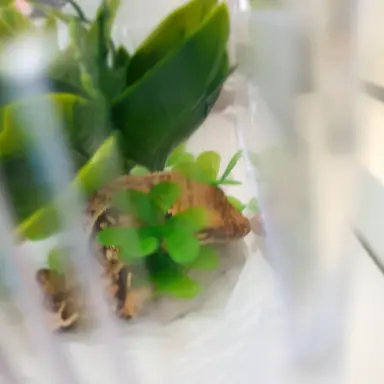 Profile image of 호찌