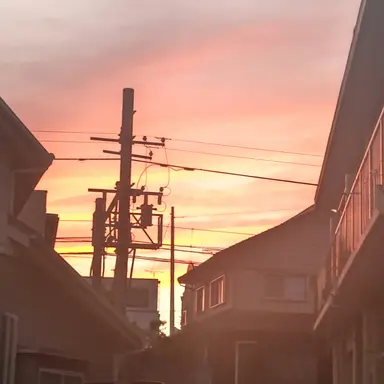 Profile image of 誠也