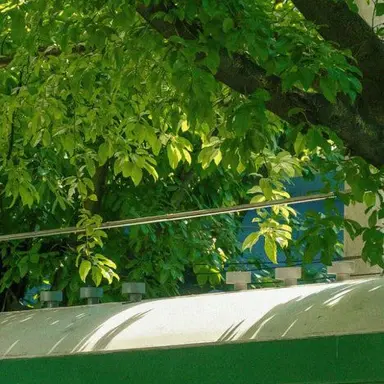 Profile image of 정형준