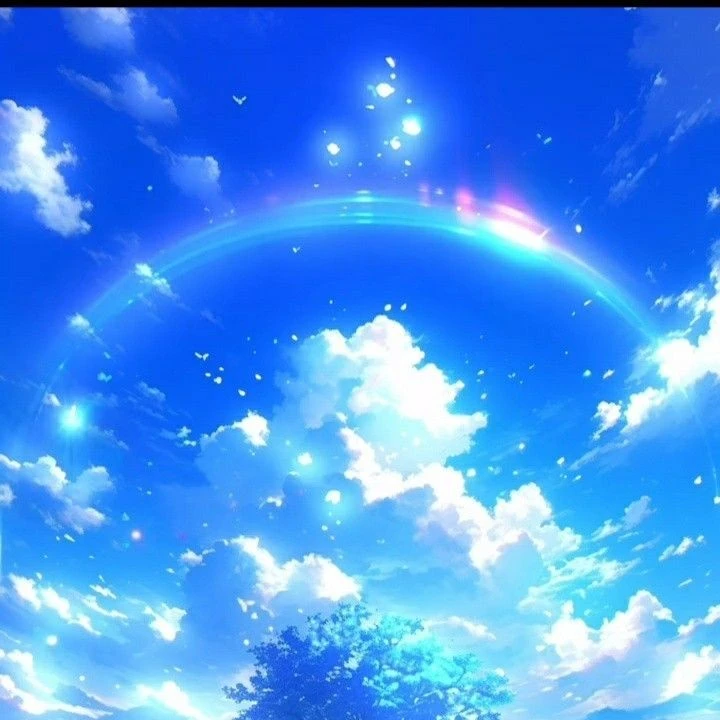 시스템/벨라