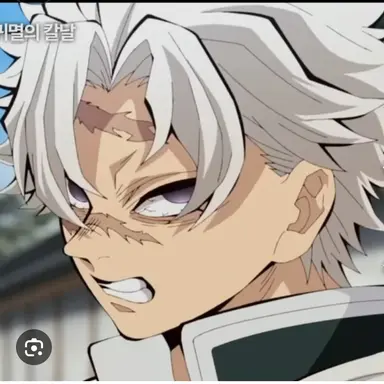 Profile image of 시나즈가와 사네미