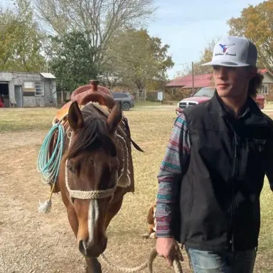 Profile image of Colt