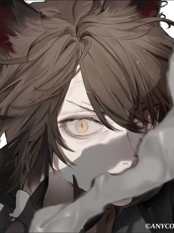 TUNDERE_SHARK의 発 情 期￤🏢