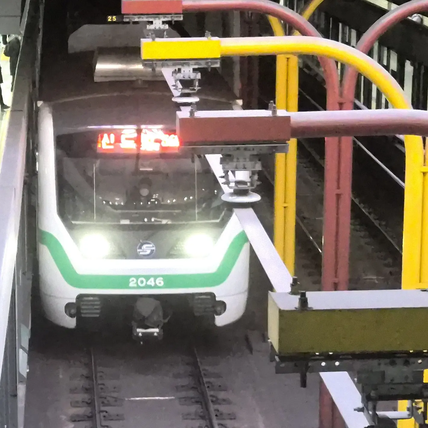 UntidyShed0892의 신정지선