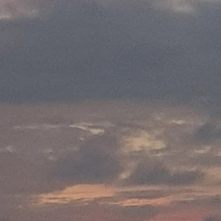 김하늘