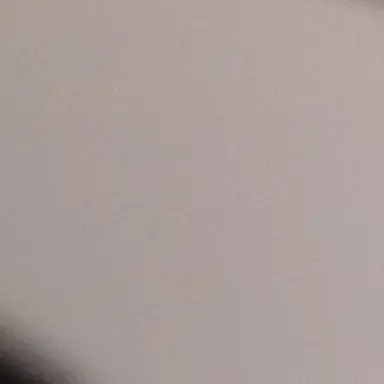 Profile image of 紫音