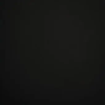 Profile image of 안시은