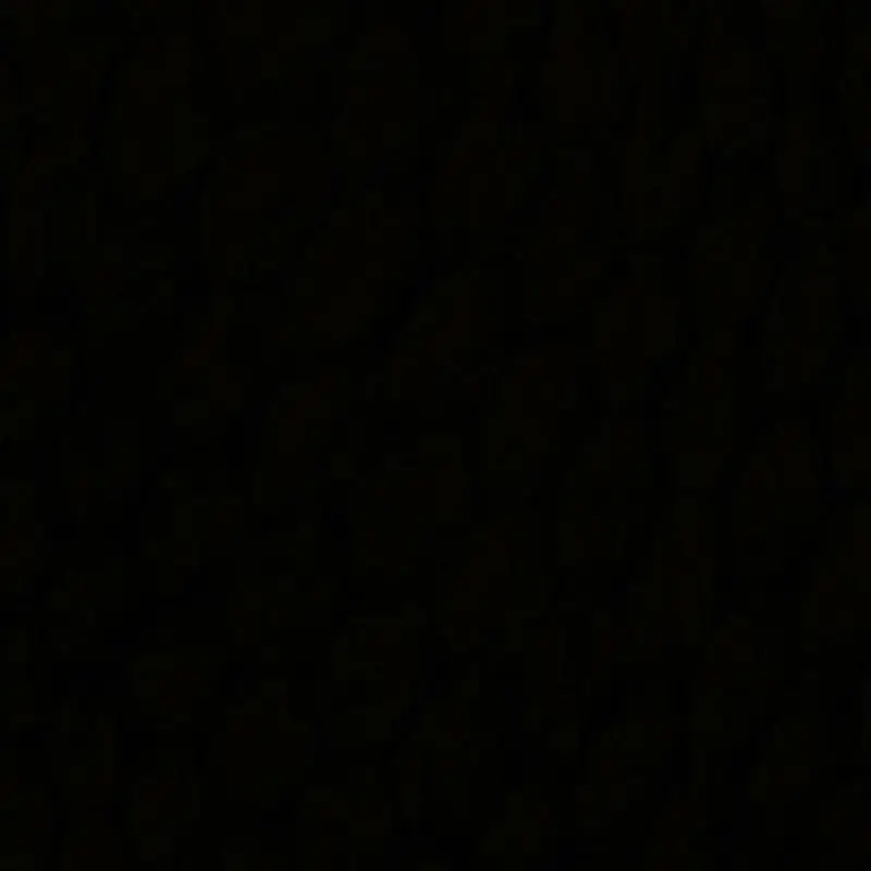 SLHU의 루카