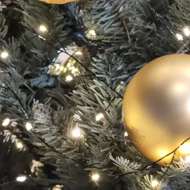 Profile image of 팀나빠