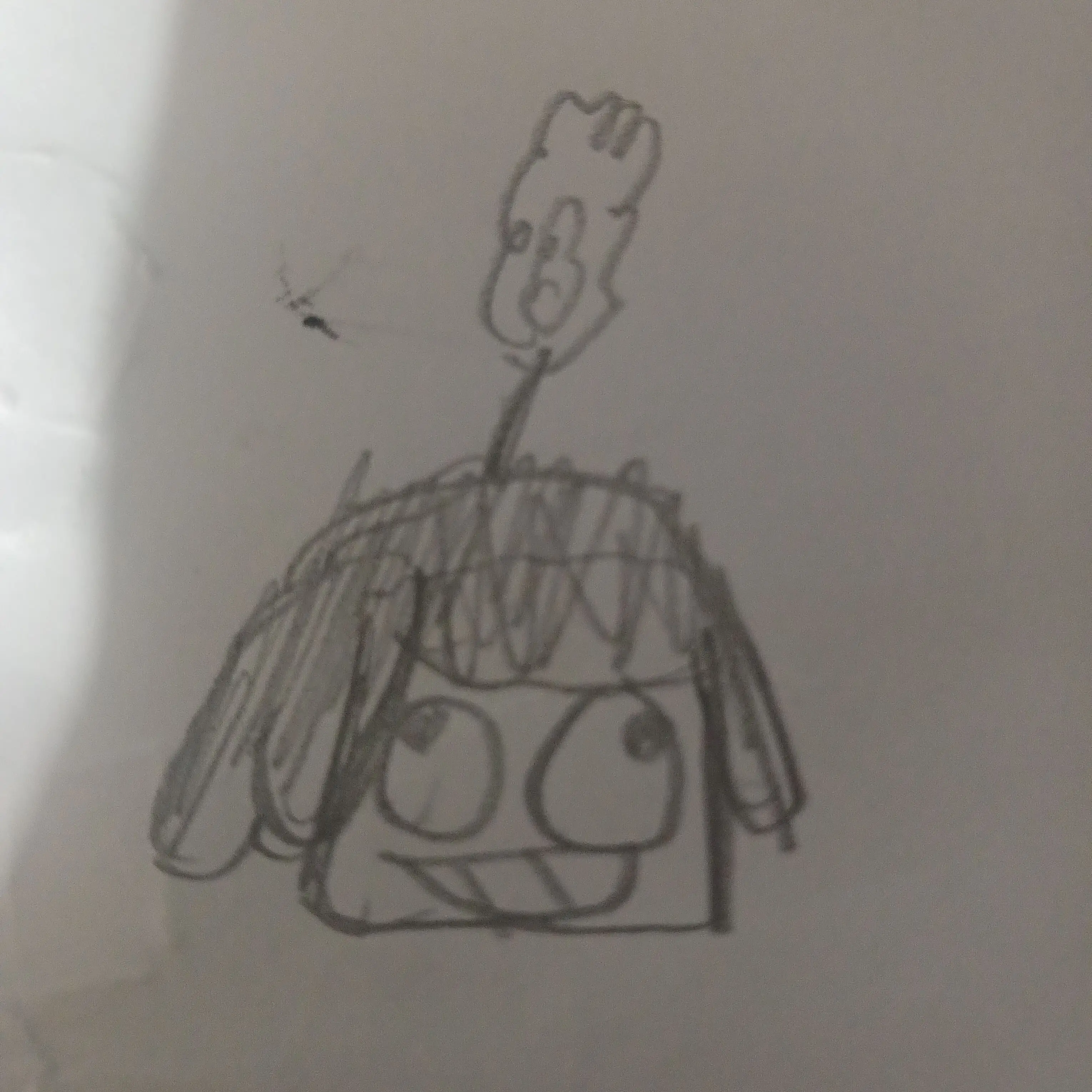 HiShelly의 왁스엘