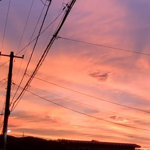 QuaintSwamp9627의 加賀美ハヤト