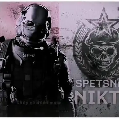 Profile image of Nikto
