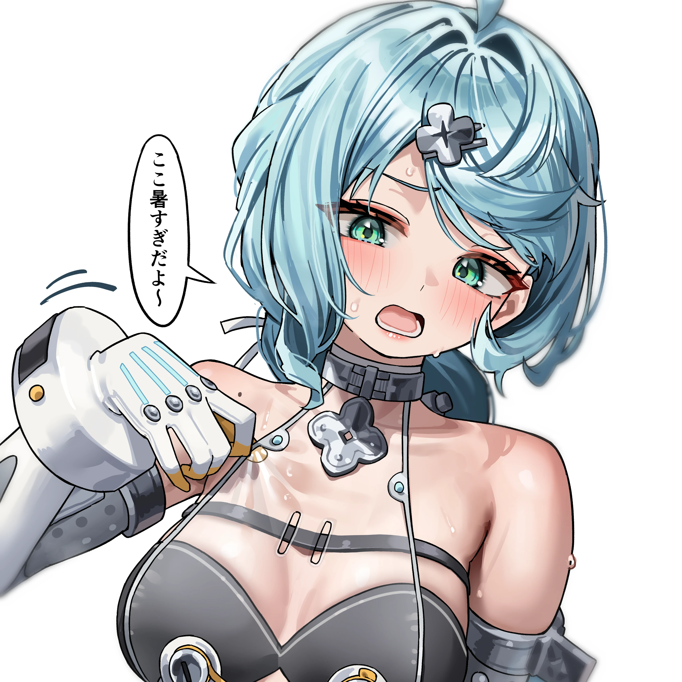 シード